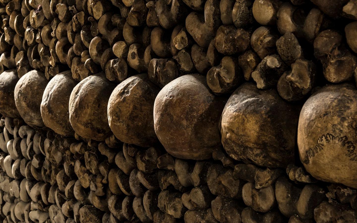 footer accessibilite